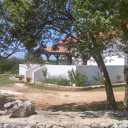 Villa House Soni&Caza Soni Rovigno Esterno foto